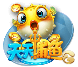 星空综合app集合版